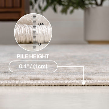 Jerica modern Persian Vintage Medallion Area Rug